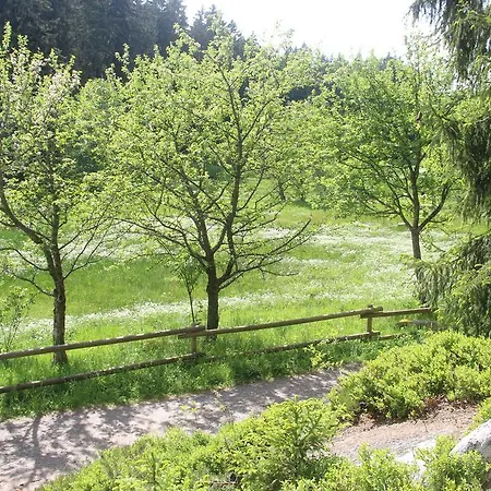 Πανσιόν Haus Hilda Fechtig 3*